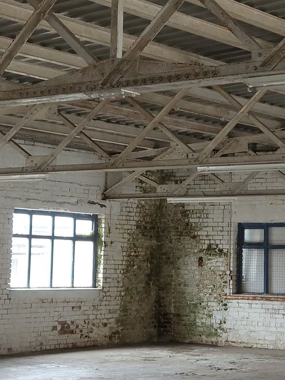 About Plumbob Projects